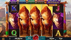 Big Wild Buffalo i Rolling Slots